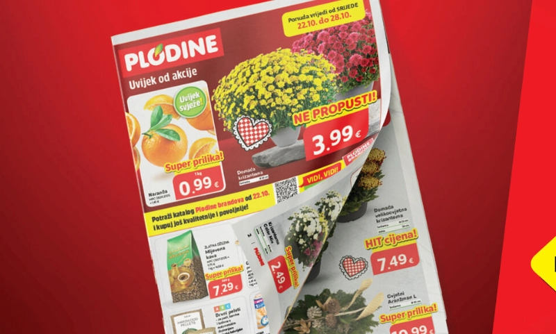 Velik izbor krizantema u novom katalogu Plodina